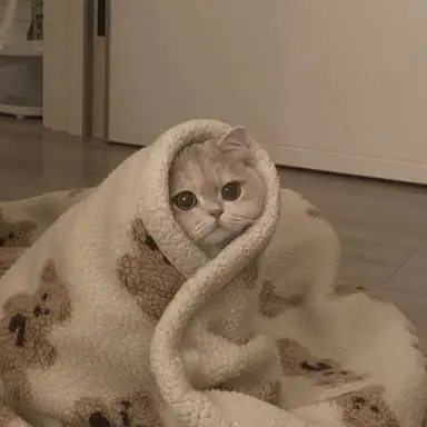 Profile image of 原