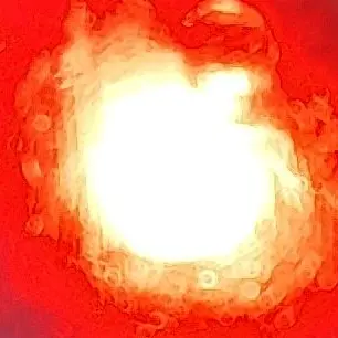 Profile image of 아키