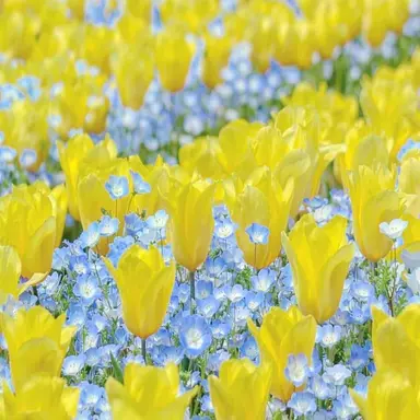 Profile image of 문네현