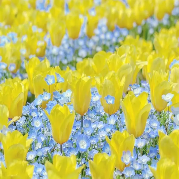 GivingShot3215의 나만 할꺼임