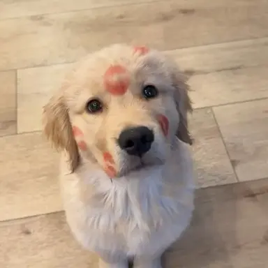 Profile image of 김승민