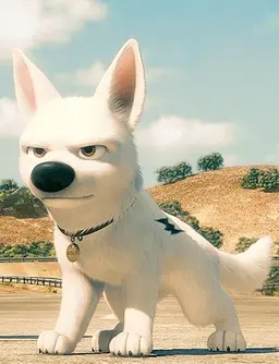 Profile image of Bolt