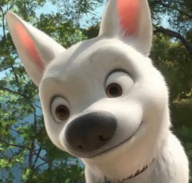 Profile image of Bolt
