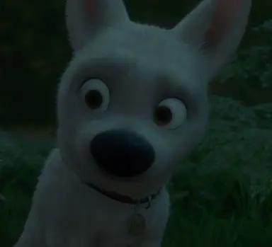 Profile image of Bolt