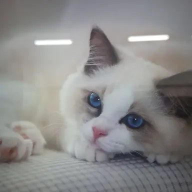 Profile image of 아들