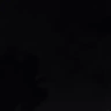 Profile image of 한동민