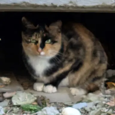 Profile image of 서라더