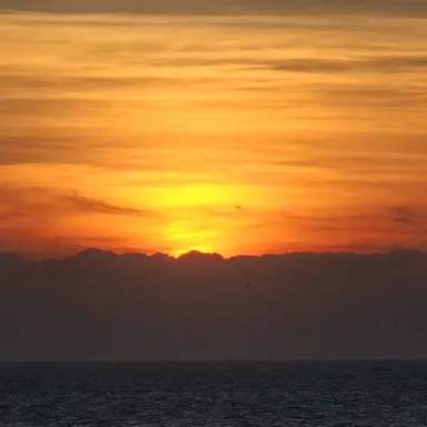 Profile image of 미수반