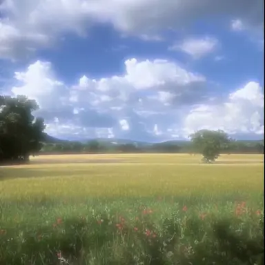 Profile image of 최민아