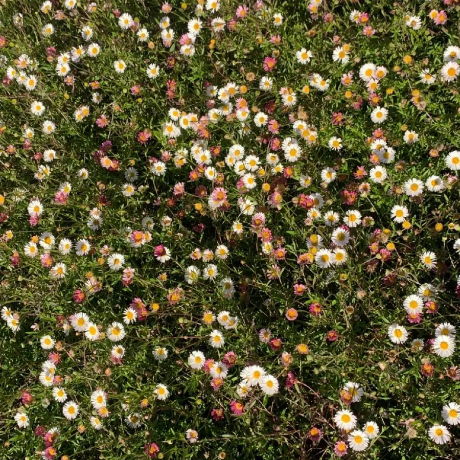 FitPet8955의 윤정한