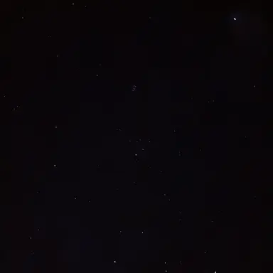 Profile image of 박정한 경장