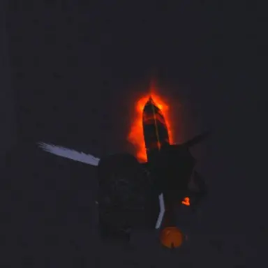 Profile image of ビオン-超越