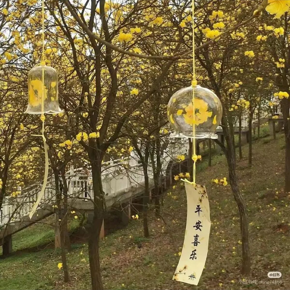 내 첫사랑? 음.. 옆반에 수업중이다 대표 이미지