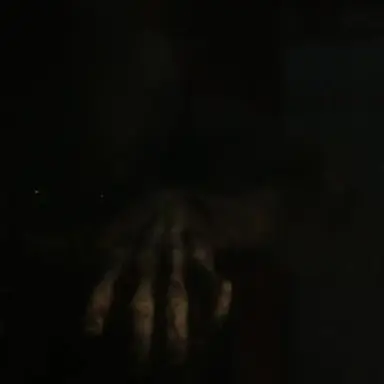 Profile image of Djinn