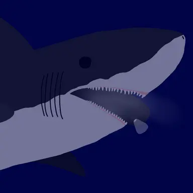 Profile image of 메가샤크