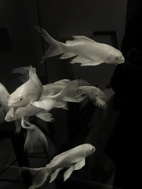 Notlovelck의 Interim