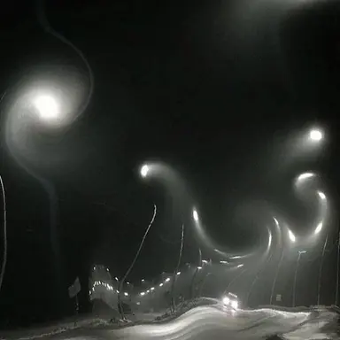 Profile image of 카쿠쵸