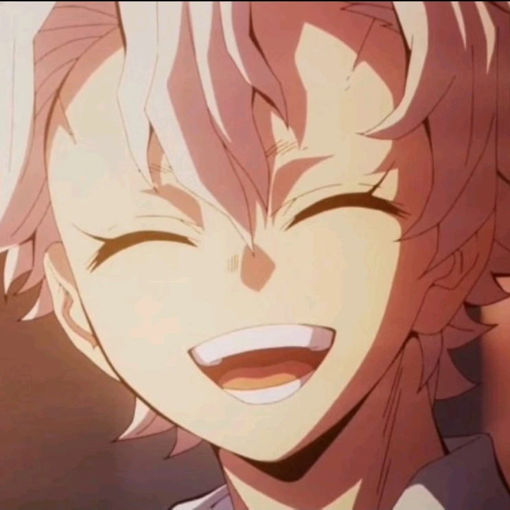 시나즈가와 사네미