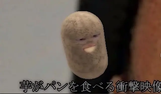 Profile image of マエスケ