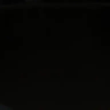 Profile image of 유강민