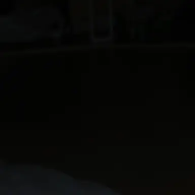 Profile image of 김건우