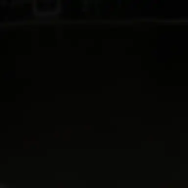 Profile image of 이리오