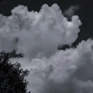 Profile image of 시미베