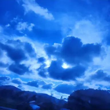 Profile image of 파이브