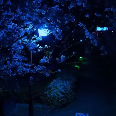 Profile image of 행크