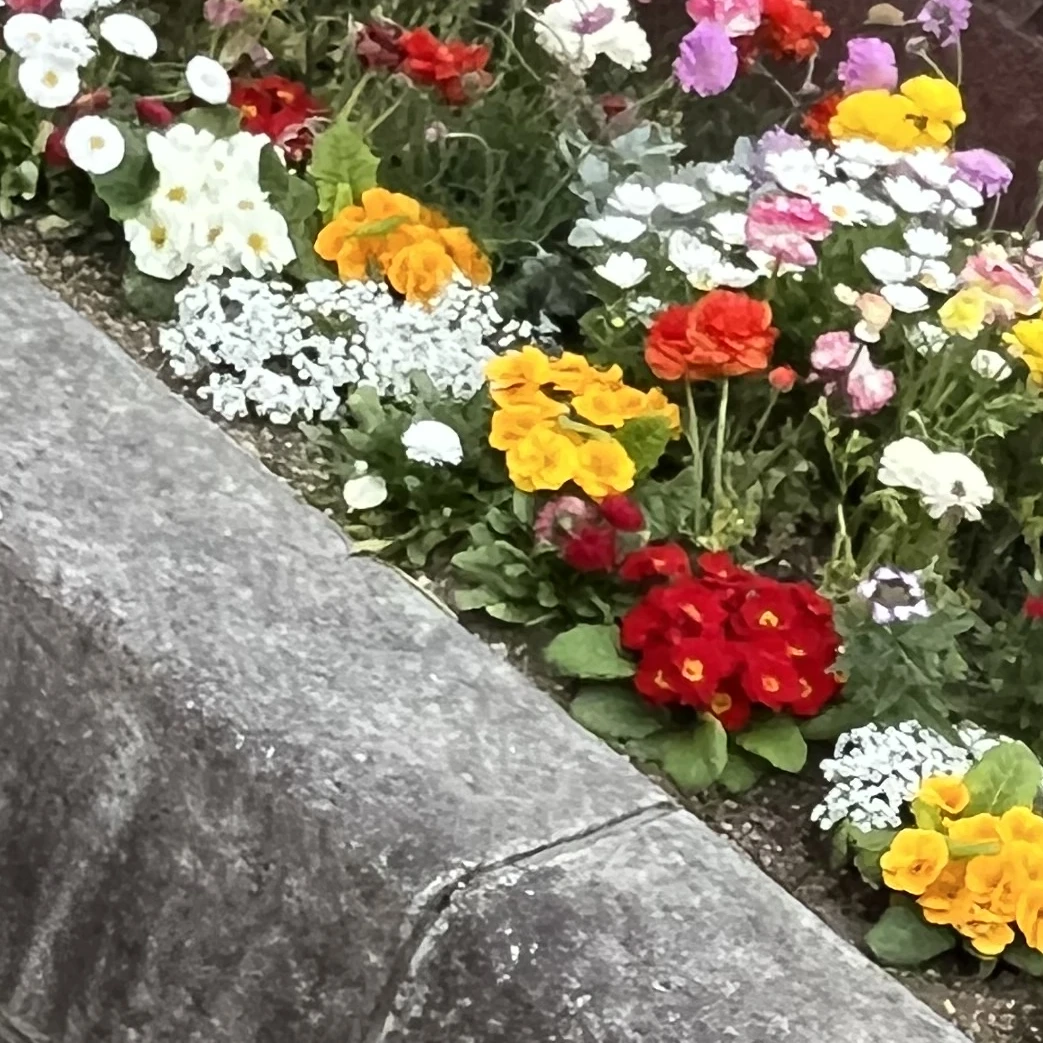 たくや