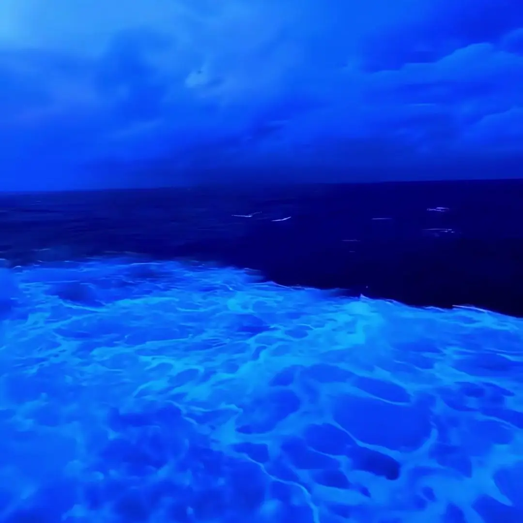 PainedVale5164의 밀레븐