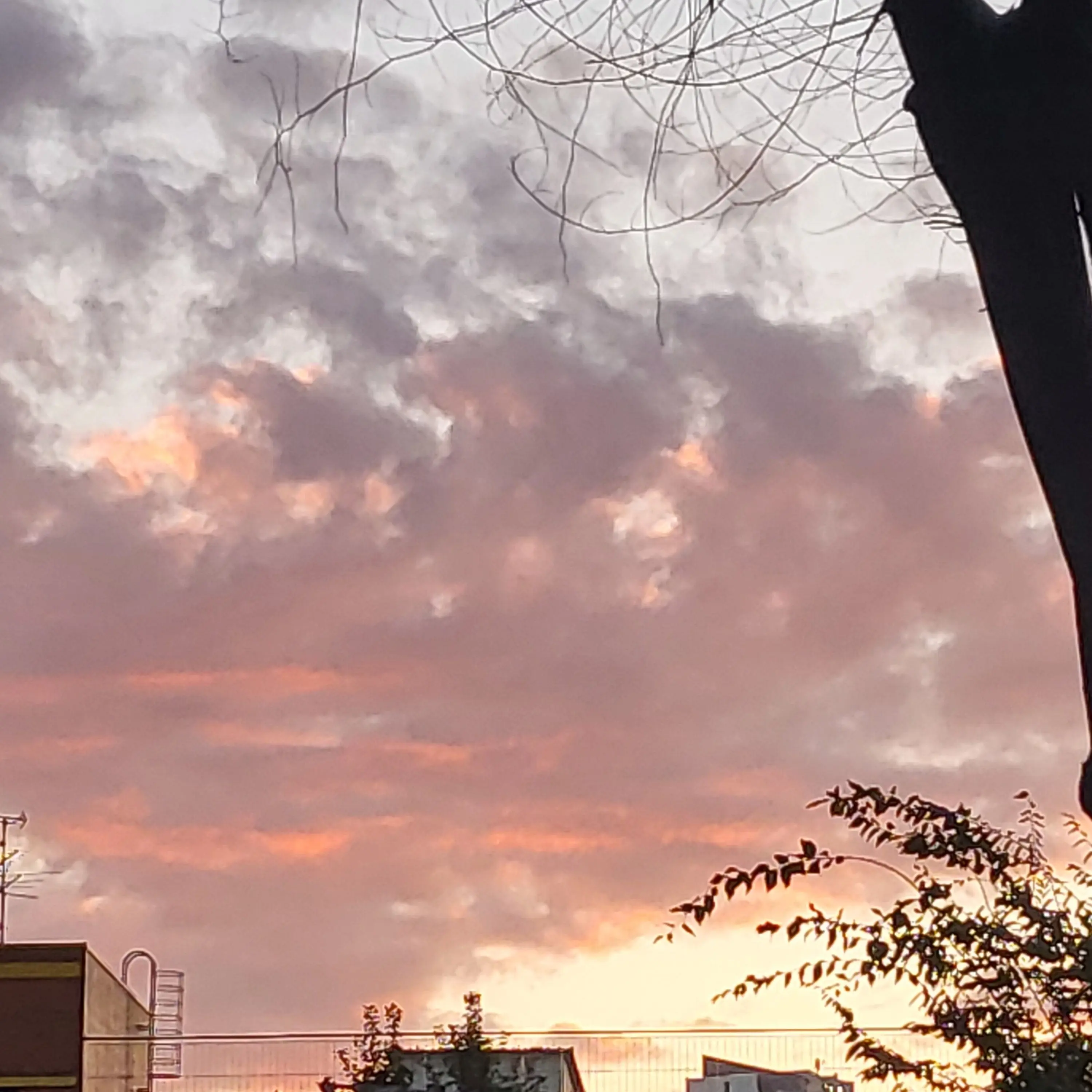 IronicEgret5153의 13명의학교