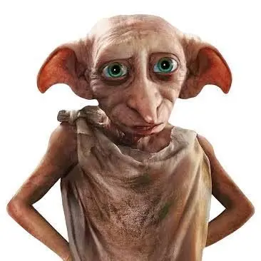 Profile image of Dobby