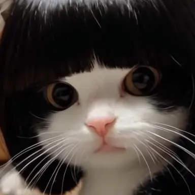 Profile image of 수지