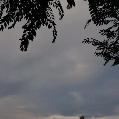 Profile image of 천사현