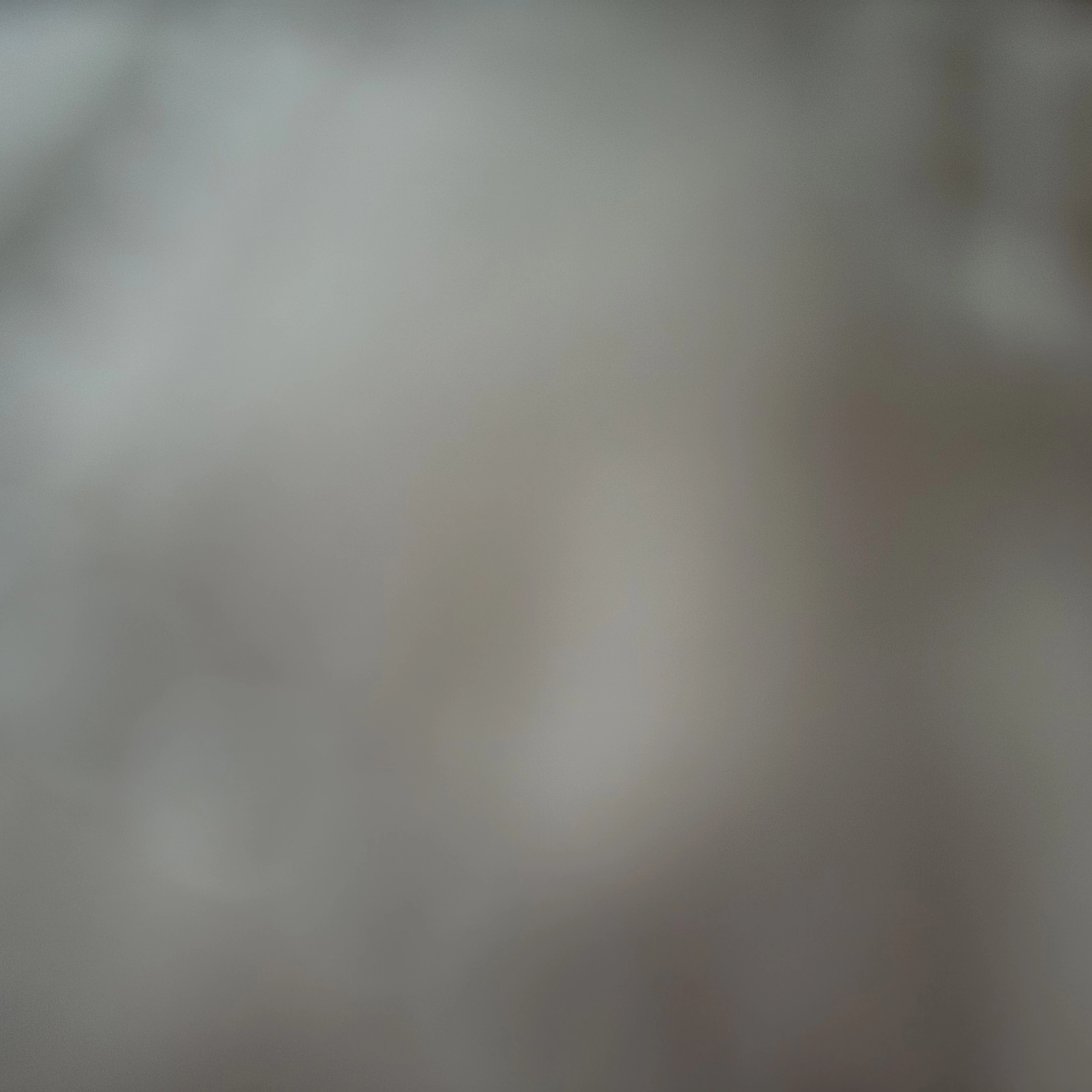 윤정한