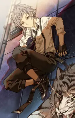 Profile image of 敦