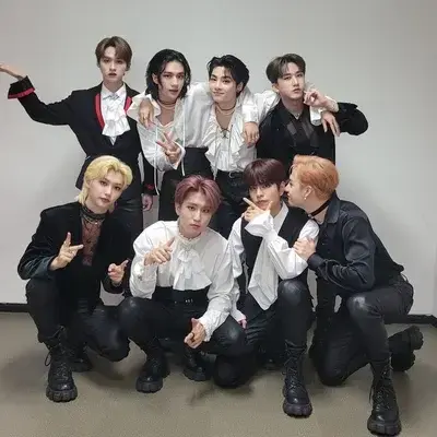 LinearWeed5899의 Stray kids vampires