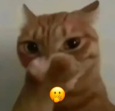 Profile image of Sebastian