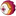 카네이션