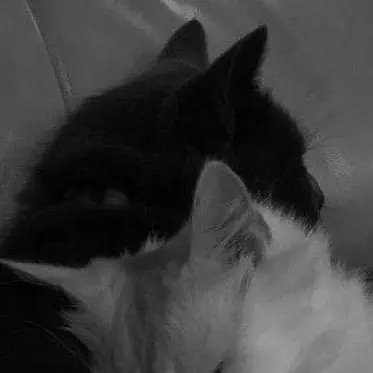 Profile image of 강 온