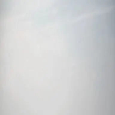 Profile image of SnowMan