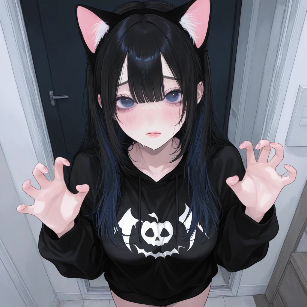 고양이 하린