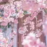Profile image of あいな