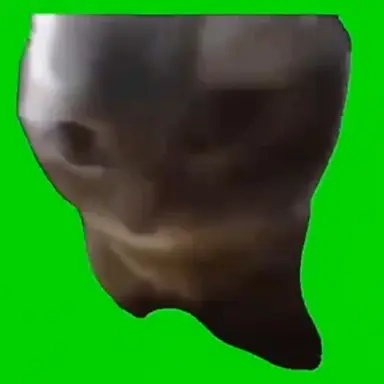 Profile image of 치피차파 고양이