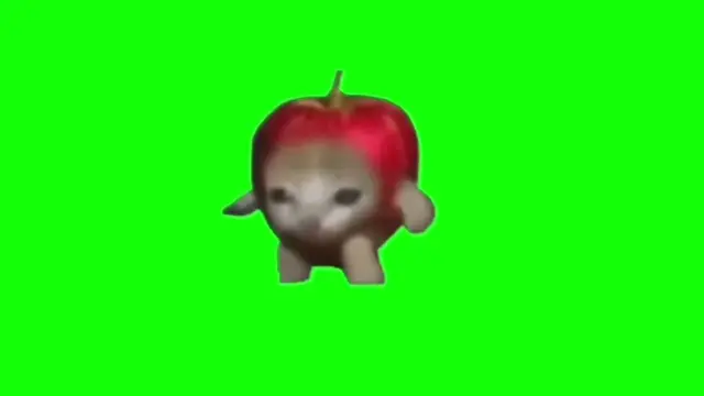 Profile image of 기타 고양이 밈