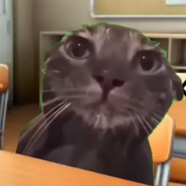 Profile image of 허무 고양이