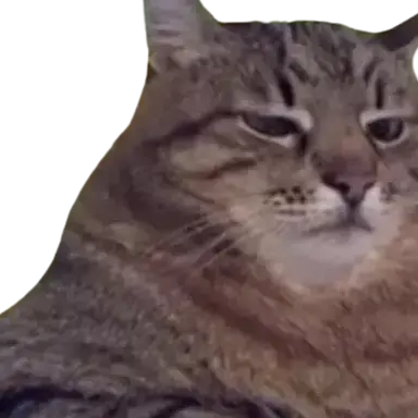 Profile image of 귀찮은 고양이