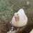 운현빨(미지막시리즈)
