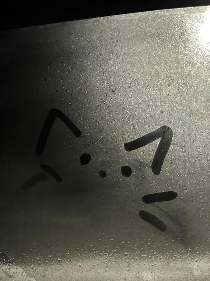 i_a.x0의 起きたら半猫化してました